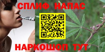 гашик Свободный