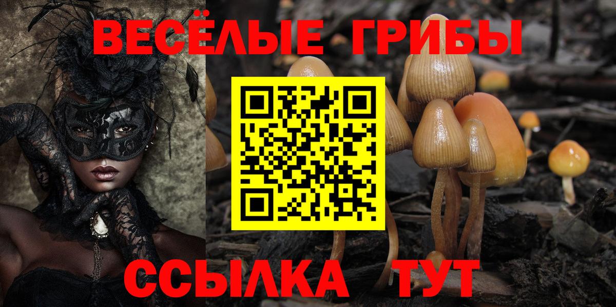 Псилоцибиновые грибы мицелий  Вход с VPN  Магадан  Галлюциногенные грибы ЛСД 
