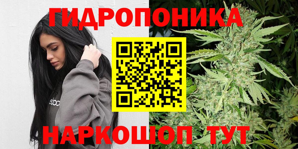 Каннабис план Магадан