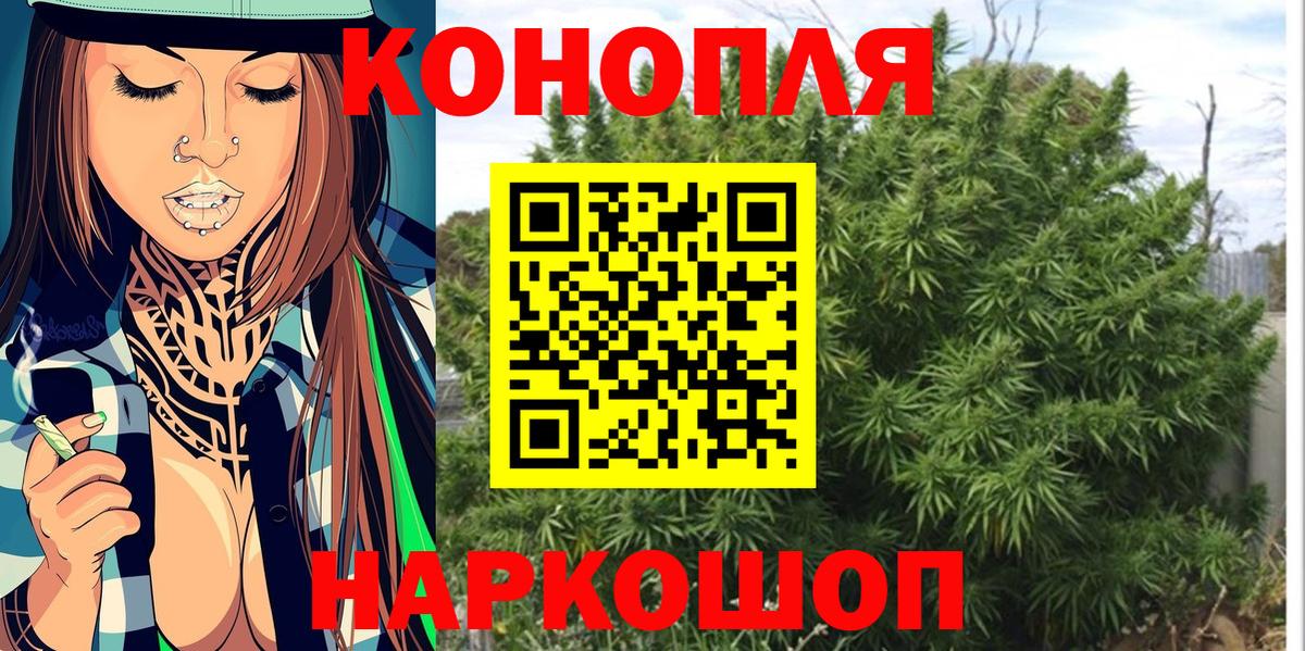 Бошки Шишки план  МАРИХУАНА индика  Бошки Шишки индика  Магадан  Вход с VPN 